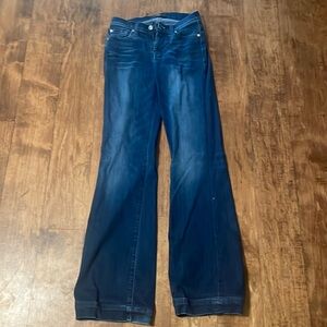 7 for all mankind dojo size 25 x31